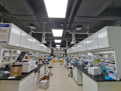 我校“重大腦疾病與衰老”重點實驗室入選教育部重點實驗室培育建設(shè)項目，助力醫(yī)學(xué)研究與試驗發(fā)展新突破